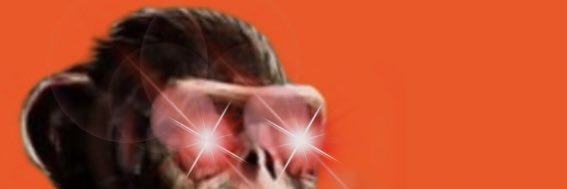 LiVE banner