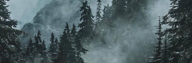 satannpe's profile banner image