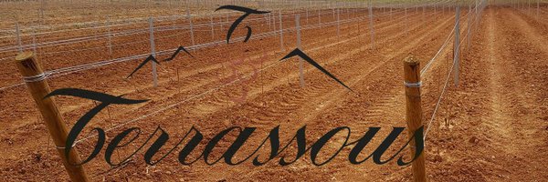 CaveTerrassous Profile Banner