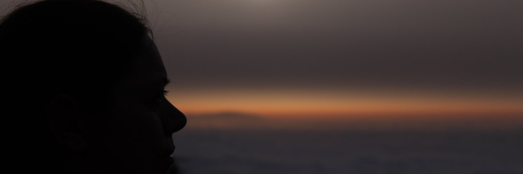 alfaaurigae's profile banner image