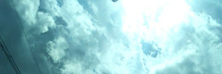 tfdy's profile banner image