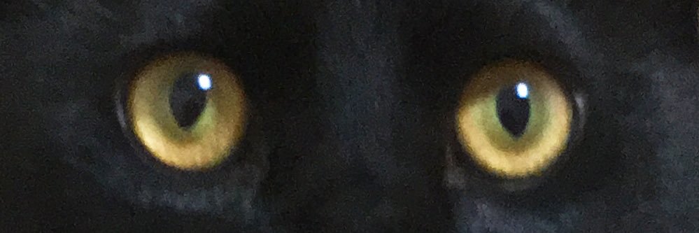 kumojojo's profile banner image