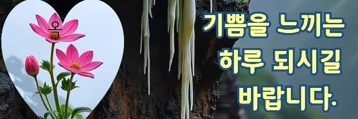 으르신 카톡 짤 모음👍's banner