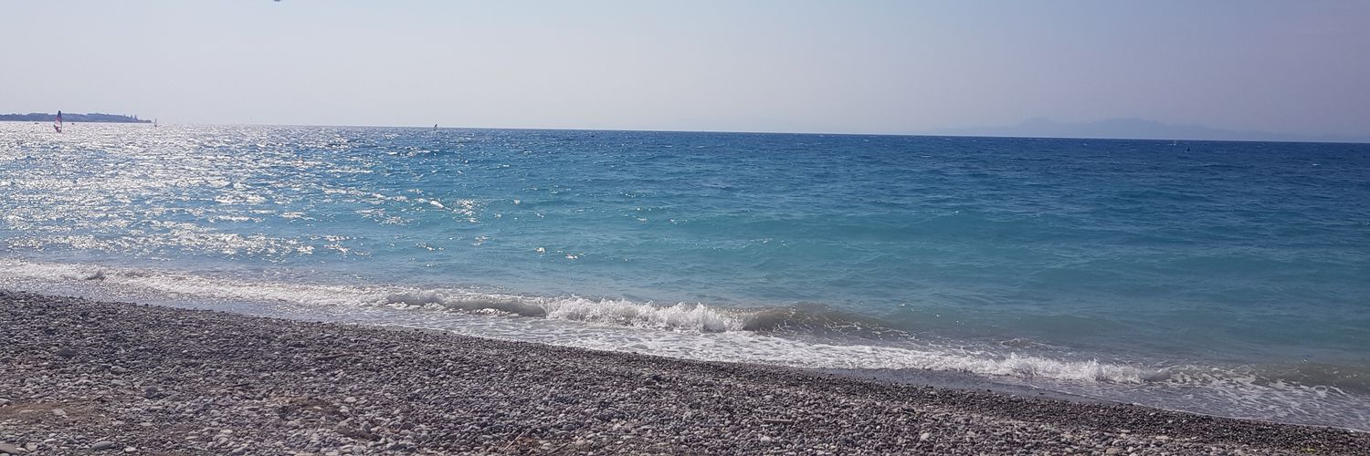 Chantelle Ford banner