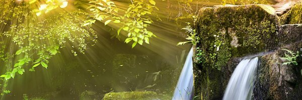 shaileshrajput Profile Banner