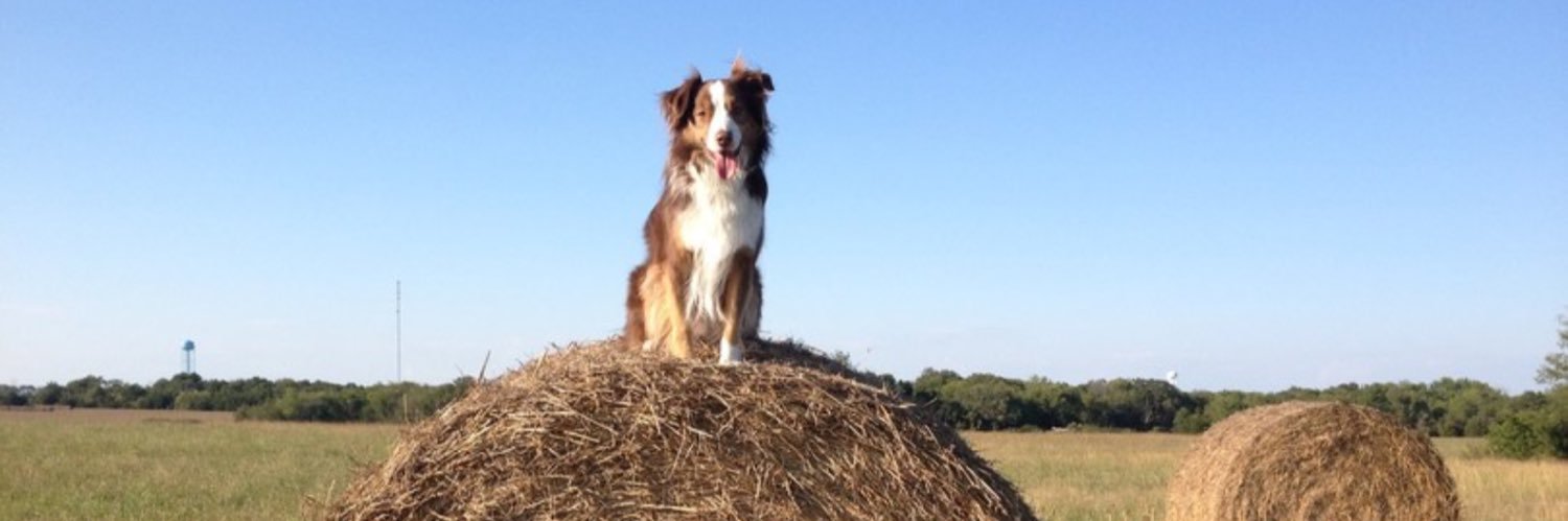 Howard Jackson banner