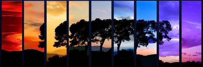 Mr__Zanu's profile banner image