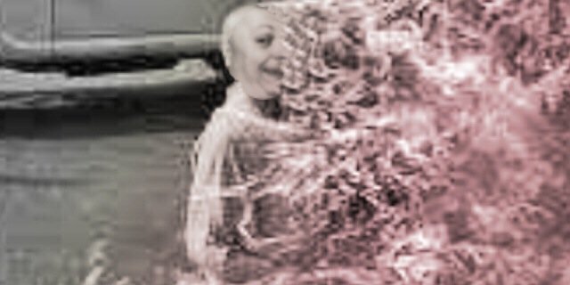 Sir Fretpound banner