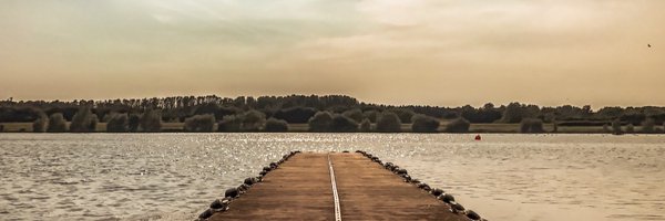 Bold_Metrics Profile Banner