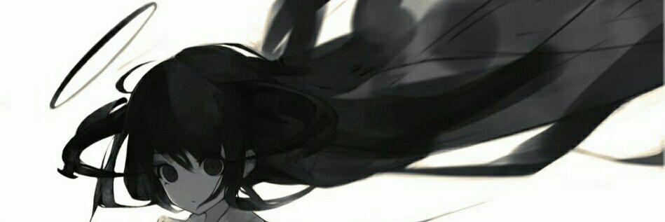 ZNdarkfeather's profile banner image