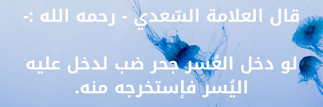zd1311's profile banner image