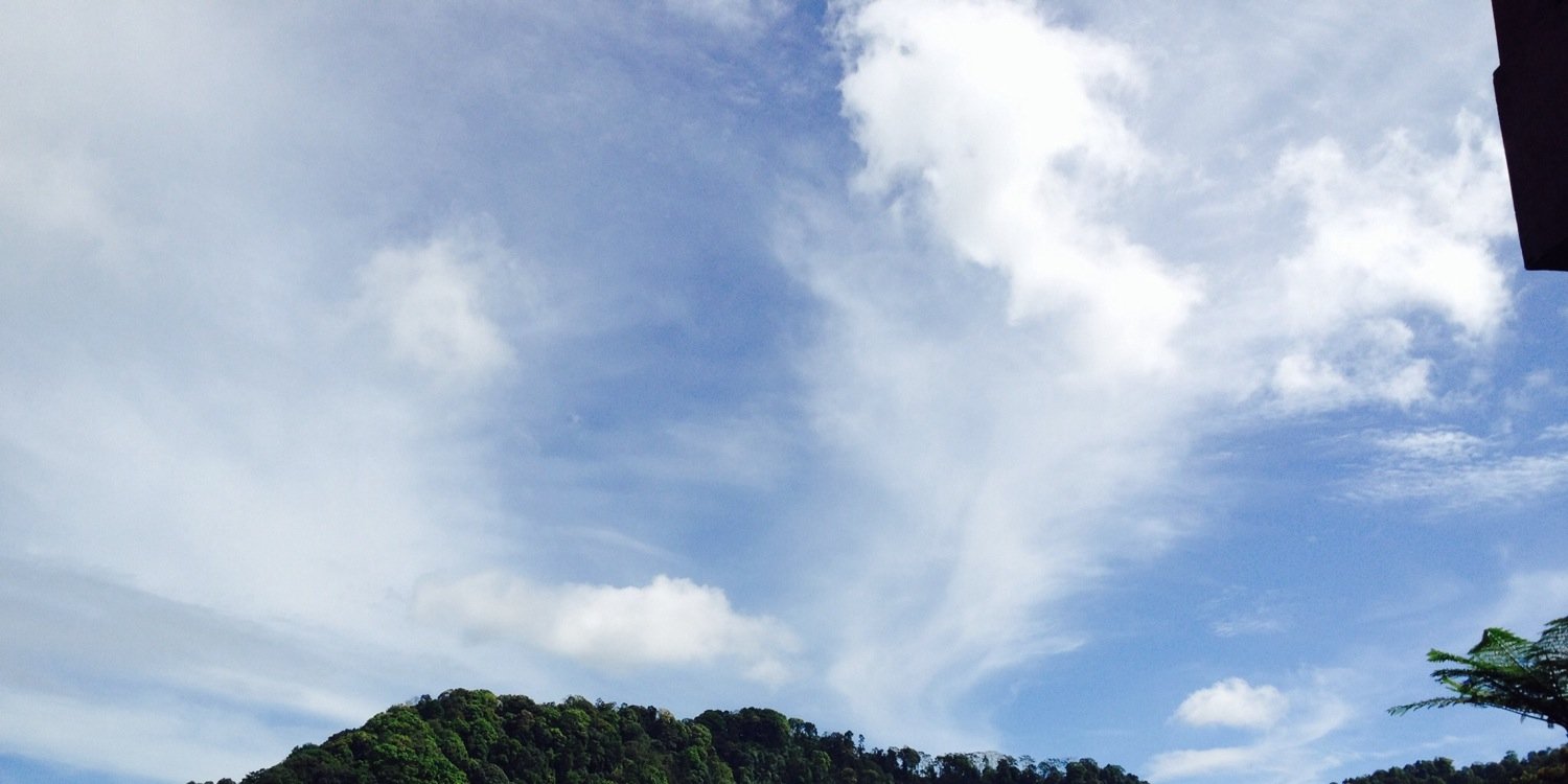 Virginia, Angga banner