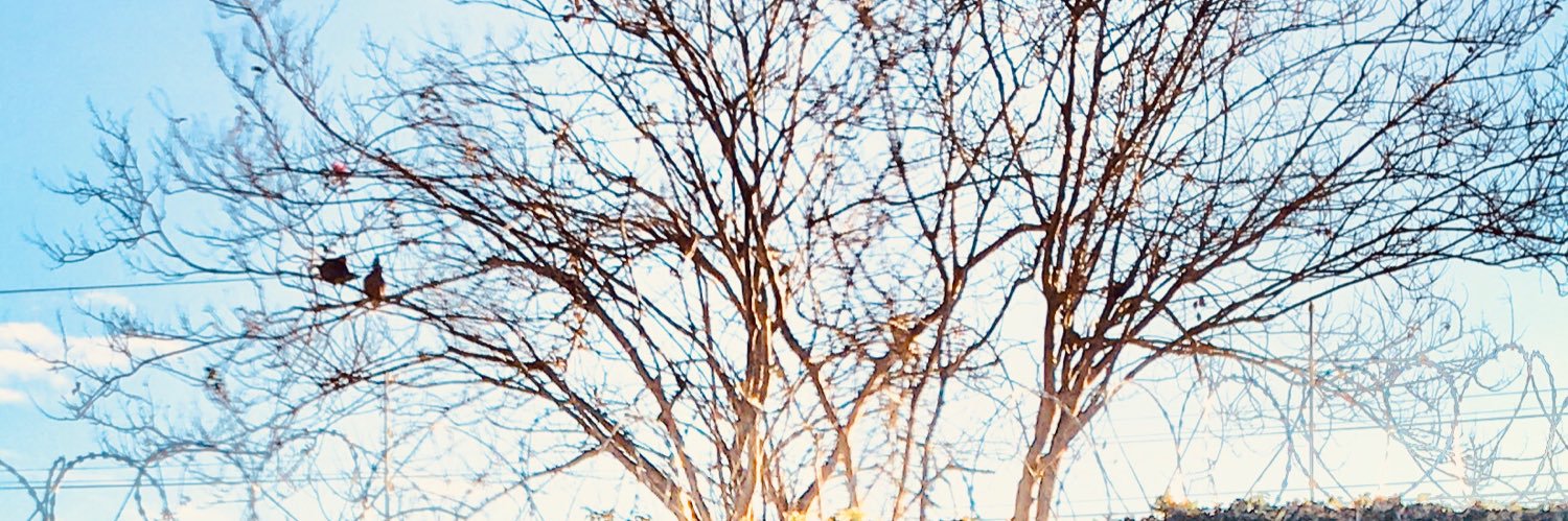 Fernando Ide Yamauchi banner