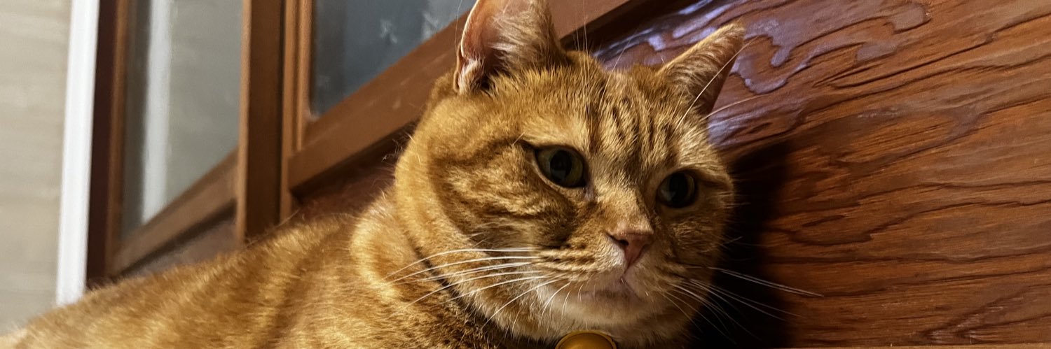 🥥るいたん banner