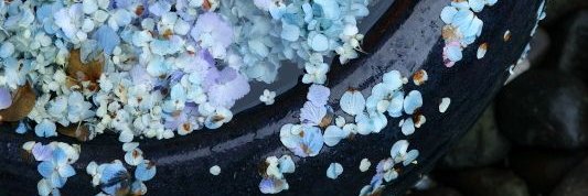 あいがん banner