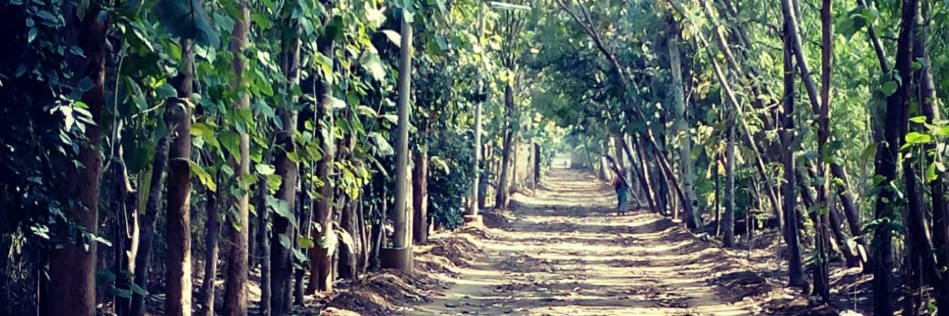 Dr. Ankit 🇮🇳 banner