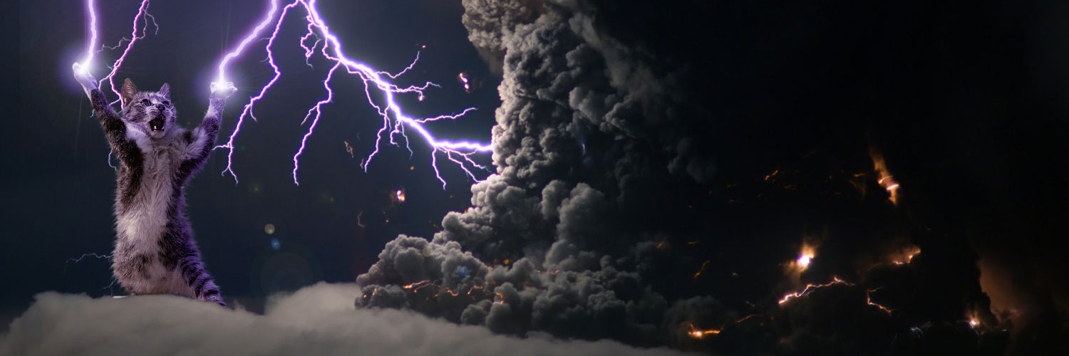 masfitzgerald's profile banner image