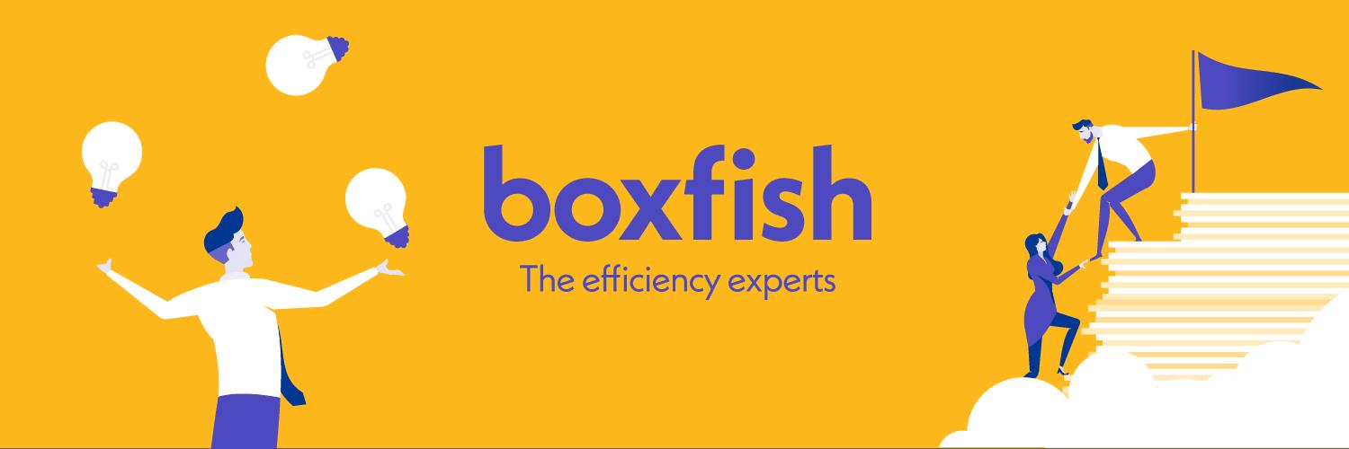 Boxfish banner