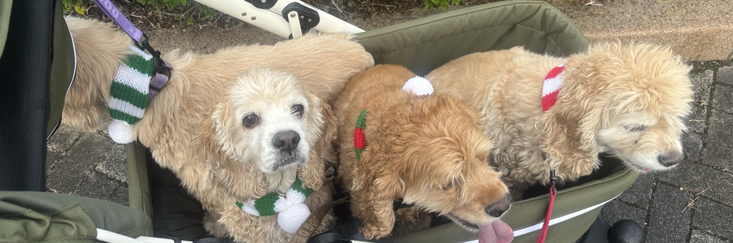 ZZy（じーじい） banner