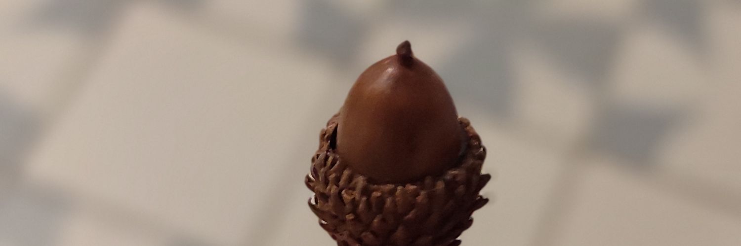 teligul's profile banner image