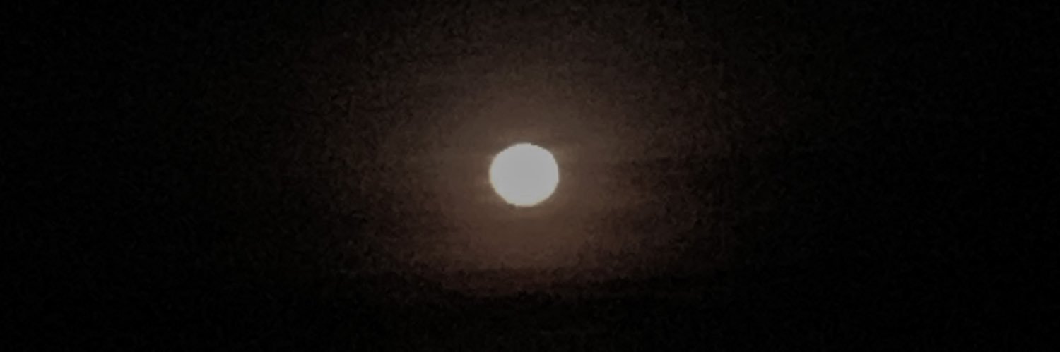 shnnnshade's profile banner image