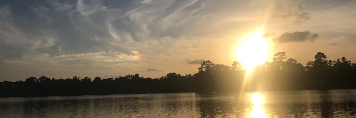 Saif Ibrahim, MD, FACC, RPVI banner