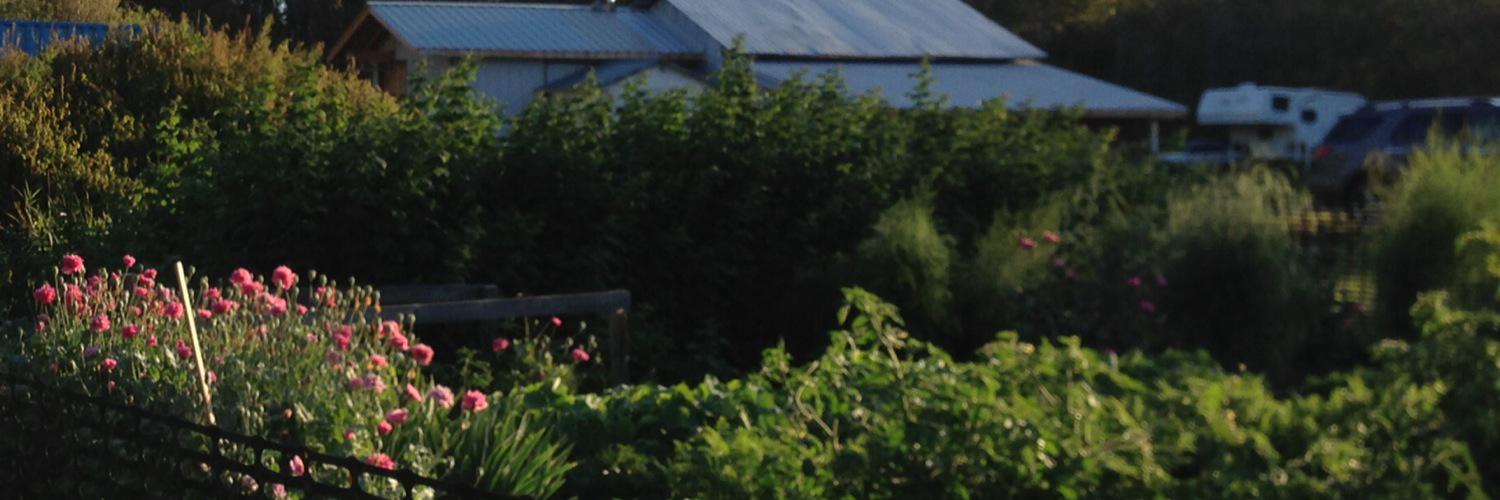 SDM_Harris's profile banner image
