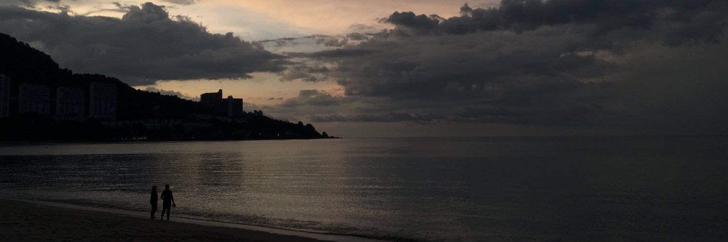 nsyncwolf's profile banner image