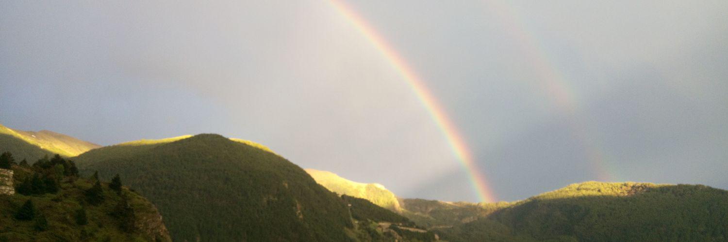 MarcMolin's profile banner image
