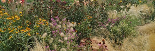MariaKordowicz Profile Banner