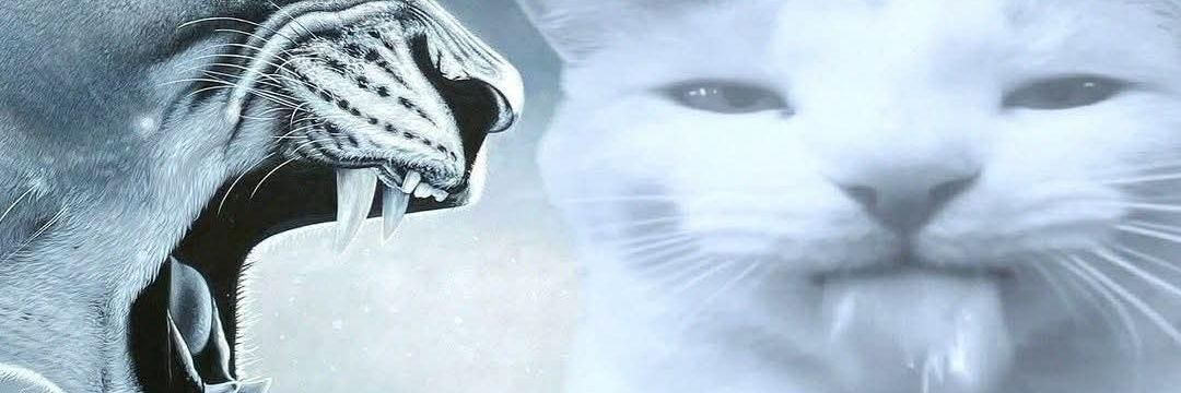 glngwtweet's profile banner image