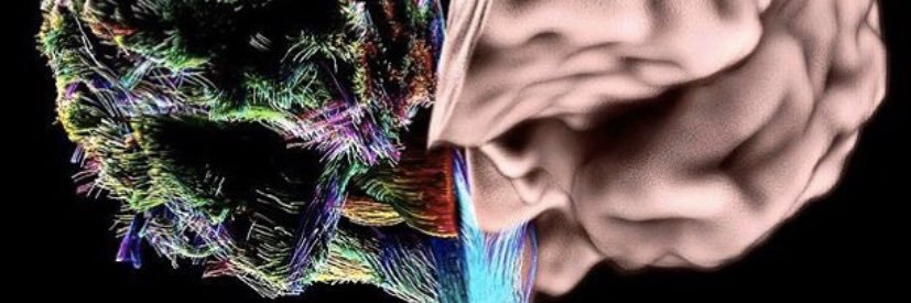macordellini's profile banner image