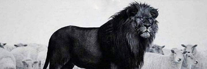 🇿🇦👑SOMPISI👑🇬🇧ᅠᅠᅠᅠᅠᅠᅠᅠᅠᅠᅠᅠᅠᅠᅠᅠᅠᅠᅠᅠᅠᅠᅠᅠᅠᅠᅠᅠᅠᅠᅠ banner