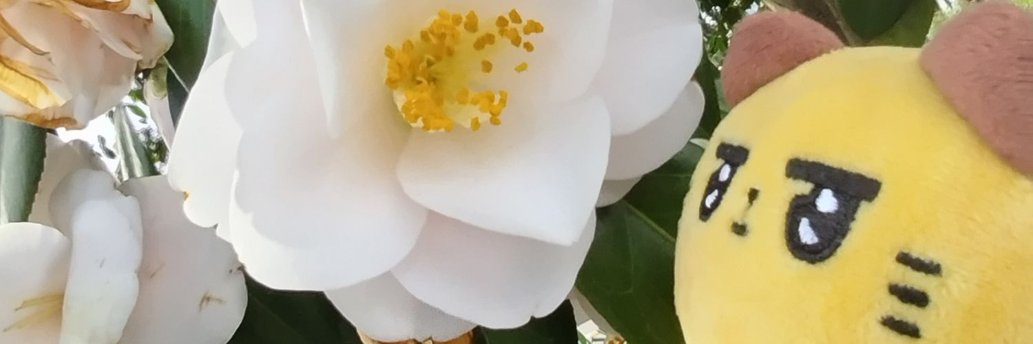 もす banner