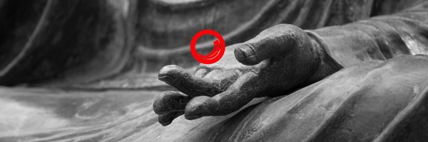 sitecorrelation Profile Banner