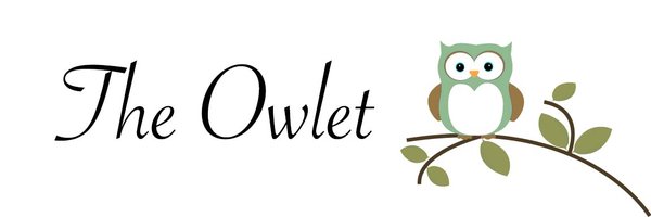theowletblog Profile Banner
