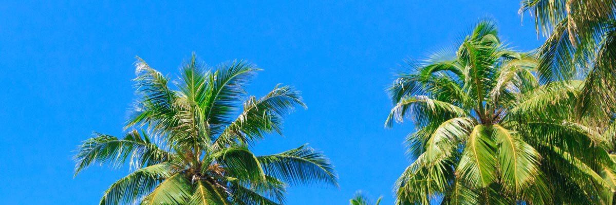 MeaganHaen18's profile banner image