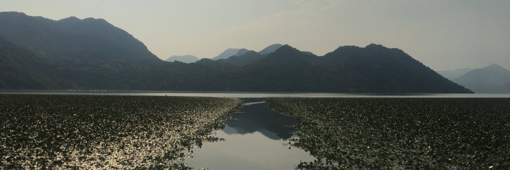 chiquiports's profile banner image