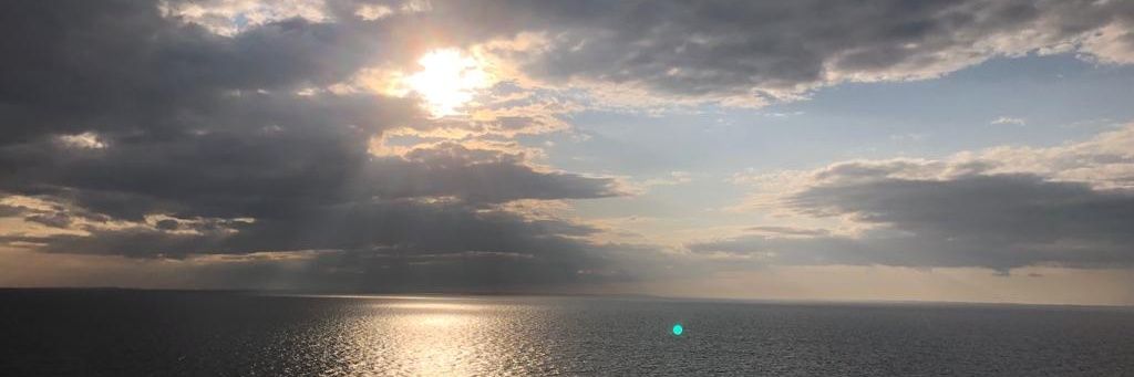 mercemonfi's profile banner image