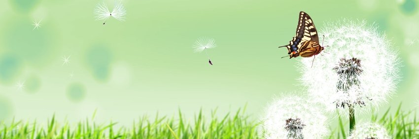 SahooSeo's profile banner image