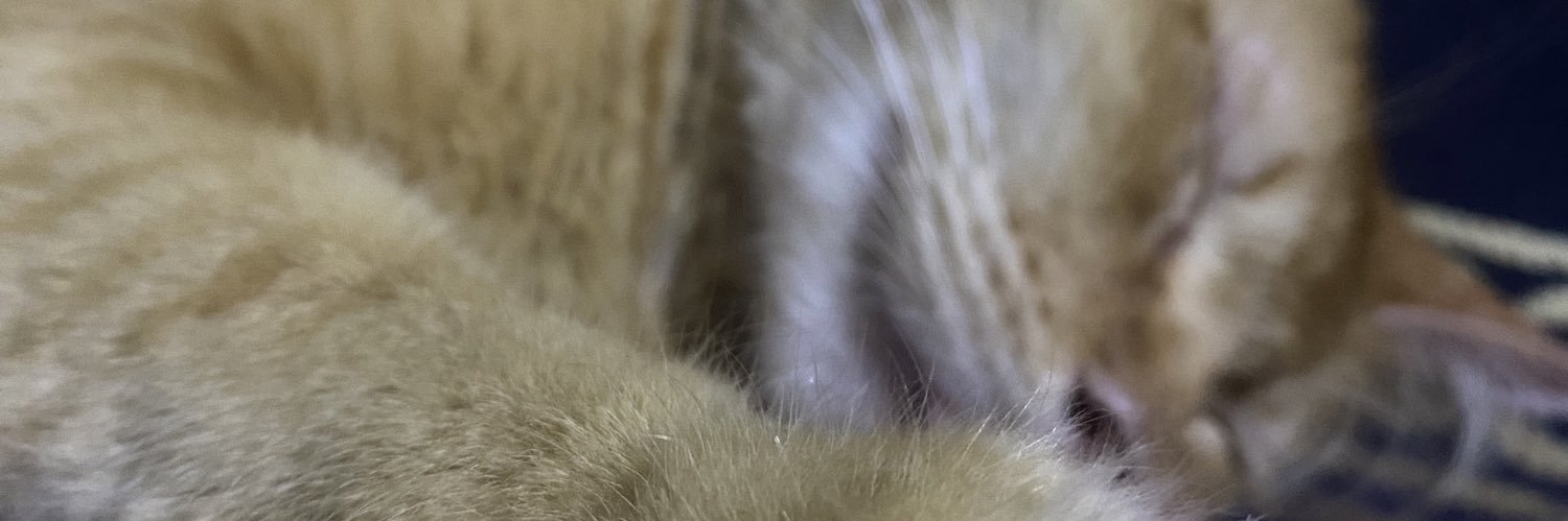 erdynrubyjane's profile banner image
