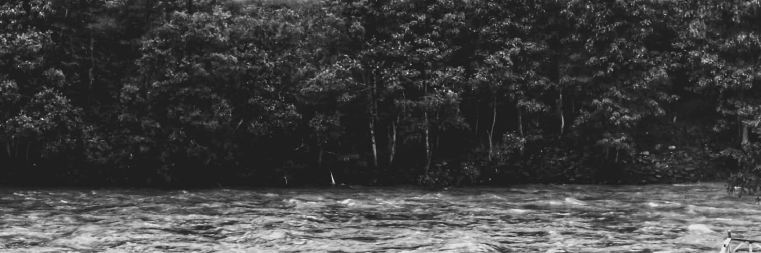tlmerebor's profile banner image