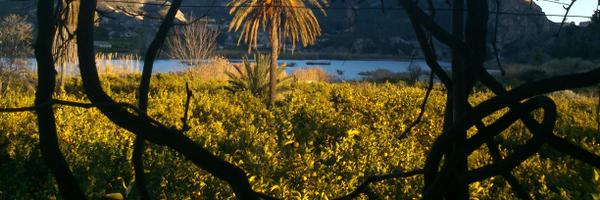 jcanosoriano Profile Banner