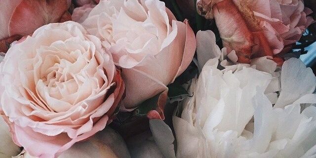 DiBurlesk's profile banner image
