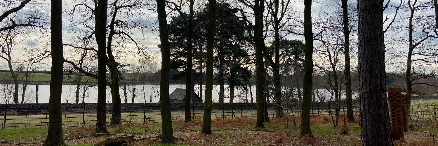 Caroline 🇪🇺🦊💙 banner