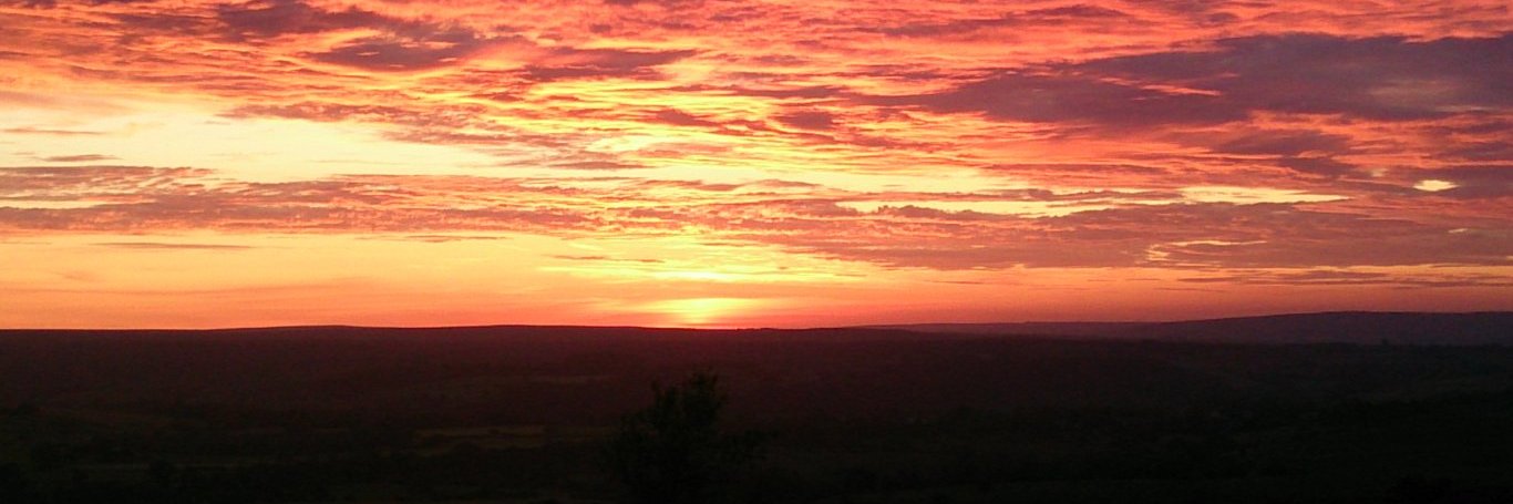 Amanda Bamford banner