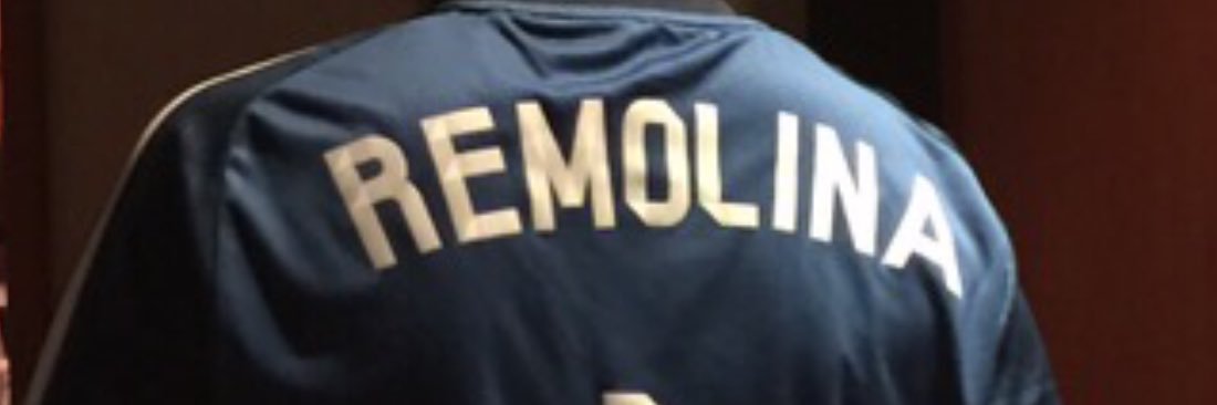 Nelson Remolina A banner