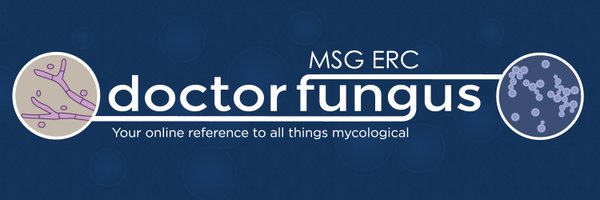 DrFungus_MSGERC Profile Banner