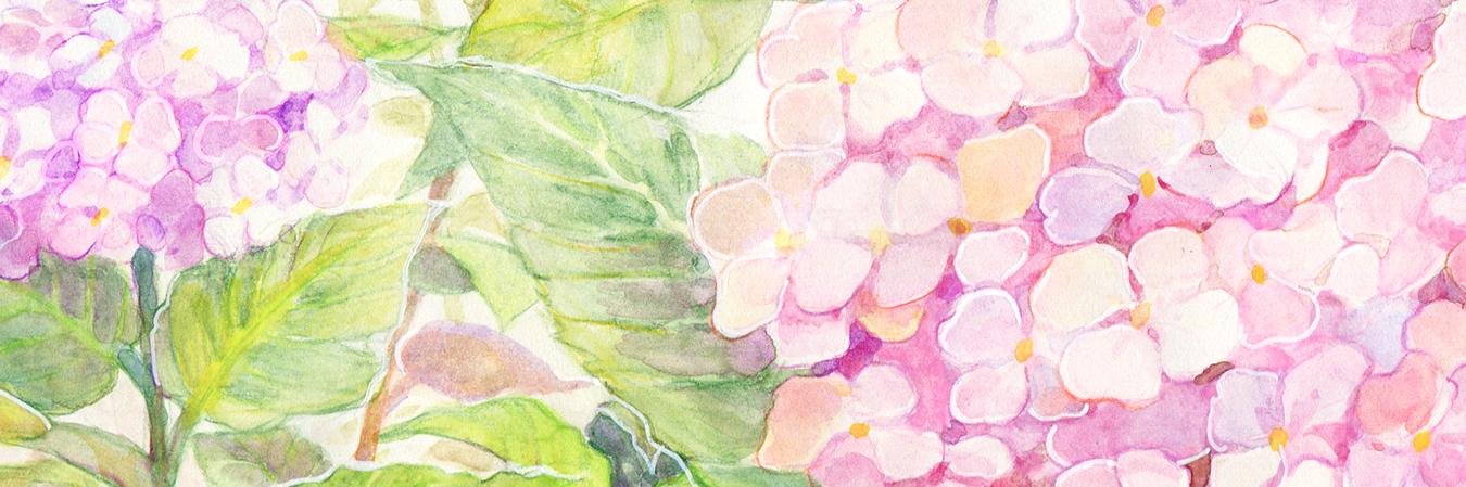 絵空摩耶*えそらまや banner