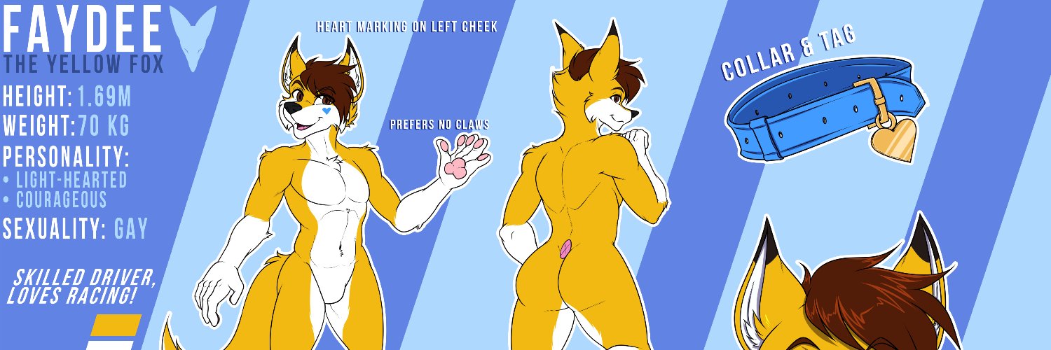 FaydeeTheFox's profile banner image